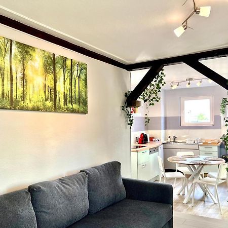 Seppala Charmant Appartement Colmar Exterior foto