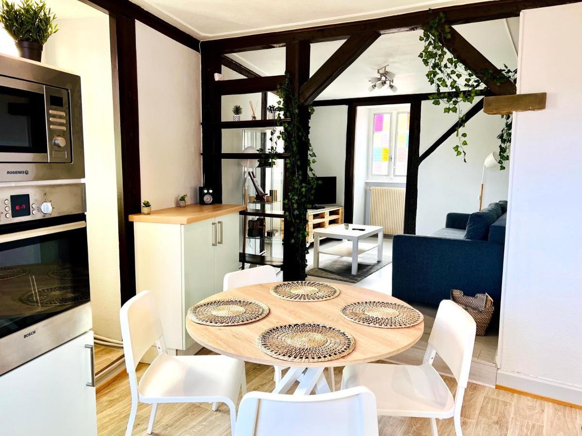 Seppala Charmant Appartement Colmar Exterior foto