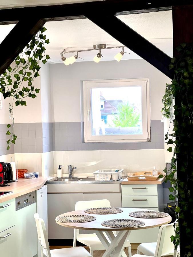Seppala Charmant Appartement Colmar Exterior foto